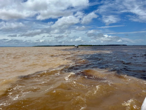 Manaus 2